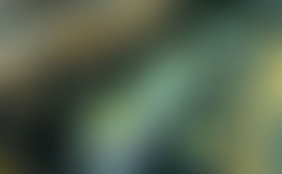 Exportaciones: los productos regionales llegan al mundo