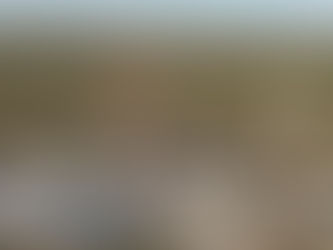 Por las exportaciones, Argentina llega al podio en un ranking regional en el que venía en caída