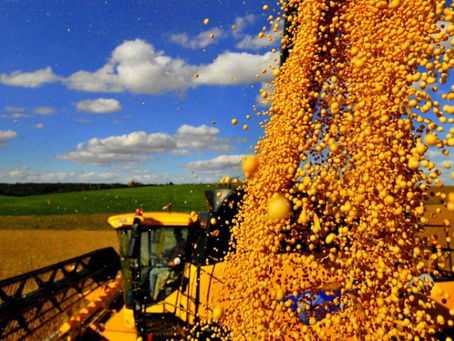 La liquidación de divisas de la agroexportación se desplomó un 75% en septiembre