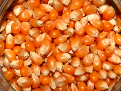 Argentina simplifica trámites para exportaciones agroindustriales y se adapta a normas europeas