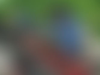 Las cerezas calibran un fuerte aumento de las exportaciones desde Mendoza