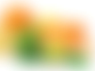 Cítricos: se abrió mercado de Ecuador y habrá negociaciones con Estados Unidos