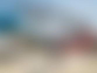 El Gobierno de la Provincia de Chubut busca agilizar los canales de exportación para las empresas lo