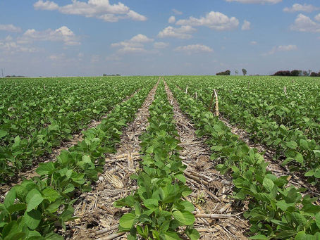 Argentina duplicó las importaciones provenientes de Paraguy en 2023