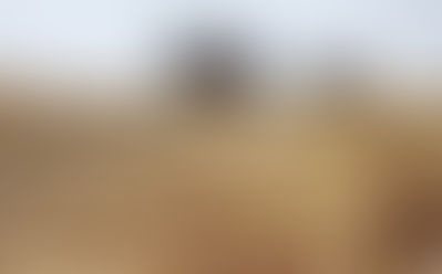 Economías regionales: generan exportaciones por US$7500 millones y dan empleo a 1,3 millones de personas