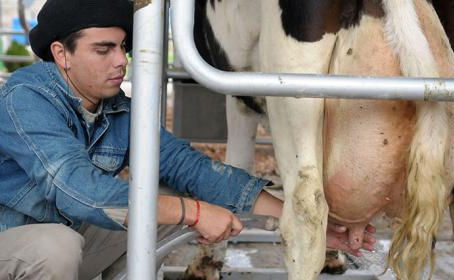 Santa Fe recuperó la punta en la producción y exportación de leche
