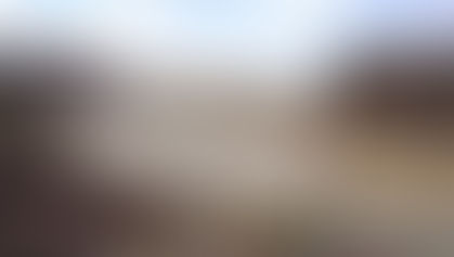 El canciller alemán visitó Argentina y garantizó el financiamiento de Chihuido