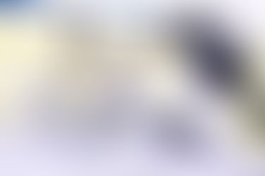 Nueva reglamentación simplifica control metrológico para simplificar importaciones