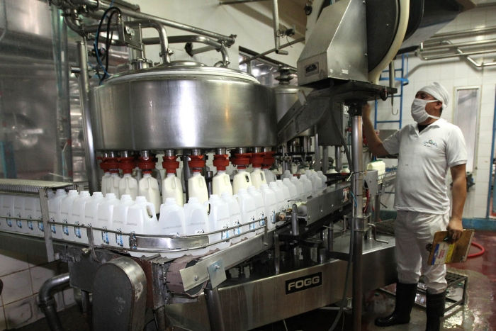 El 29% de la leche producida en Argentina tuvo destino de exportación