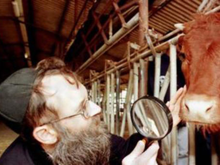 La Argentina busca abrir el mercado para la exportación de carne bovina con hueso a Israel