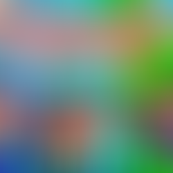 How much would it cost to buy all of  Sims 4 DLC?