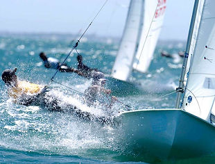 Coaching professionnel, Zixine Compétences - Vannes
