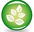 button-with-leaf-on-white-background-ras