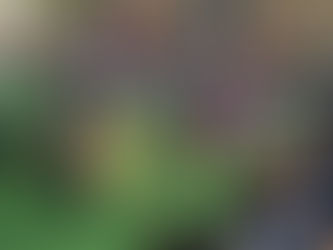 Conversa sobre respeito e combate ao bullying e cyberbullying