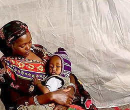 WEBSITE -- OUTREACH -- ELCA MALARIA CAMPAIGN 101.jpg