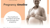 Pregnancy Timeline Fact Sheet