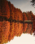 E9B0F9EC-F6D6-4D96-AEA9-33518FC47D9B