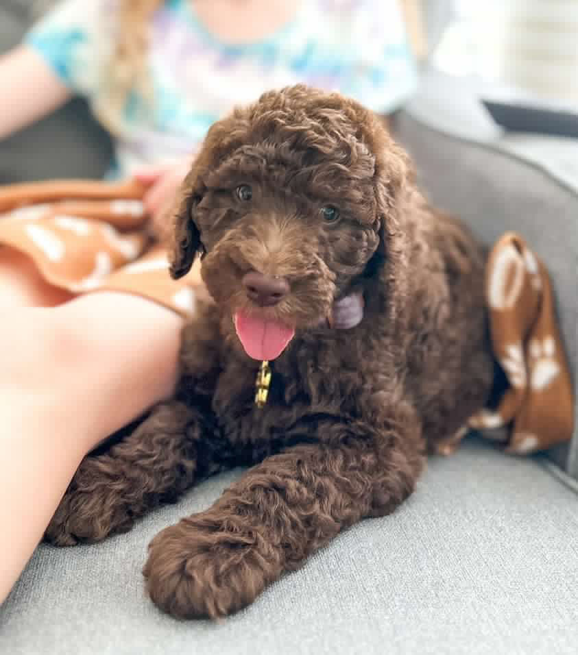 7016D4A8-EC03-4FED-9A97-7AF4BF7829F4