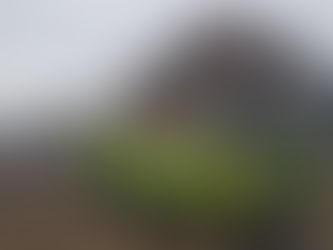 Waterside Construction site visit