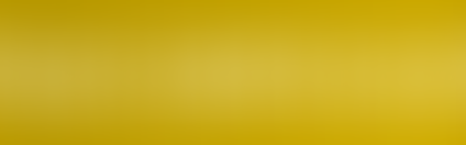 HEARTLINER 2013 beim Europafinale der Drum Corps