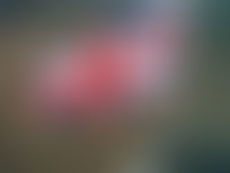 Der "Union Jack“ wehte über Carlsberg