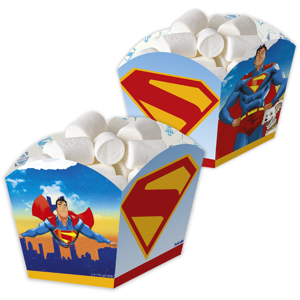 Cachepot Super Man Fenix Design Studio