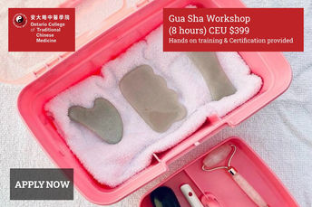 Gua Sha Workshop at Toronto Campus