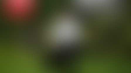 Qigong Self Cultivation