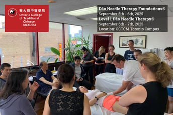 Dāo Needle Therapy Fall 2025