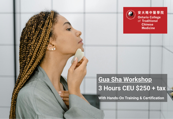 Gua Sha Workshop at Toronto Campus