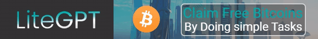 litegpt.gif