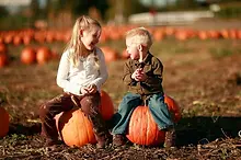 846e52_d01c9b204c85478fbff158bd93cd8ad1~mv2.webp