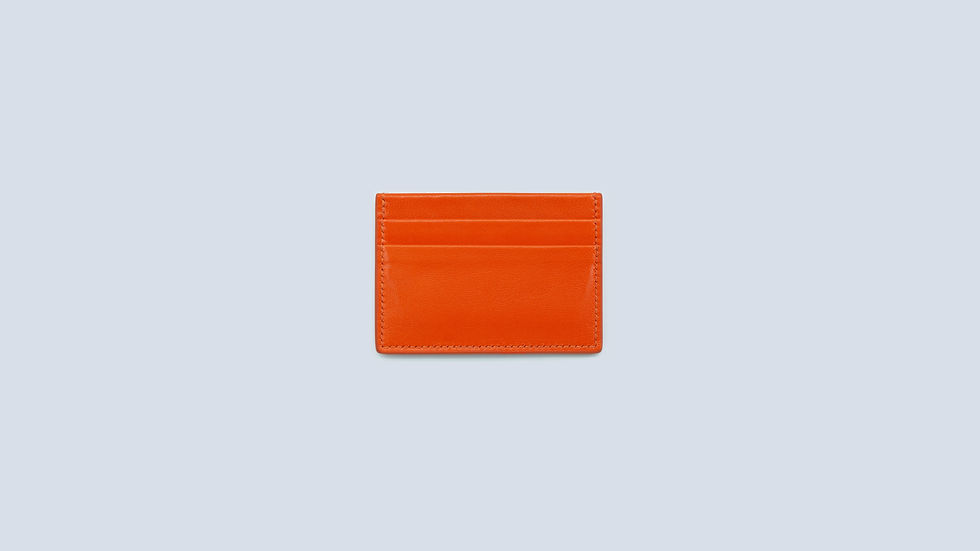  Patike Card Holder (Orange)

