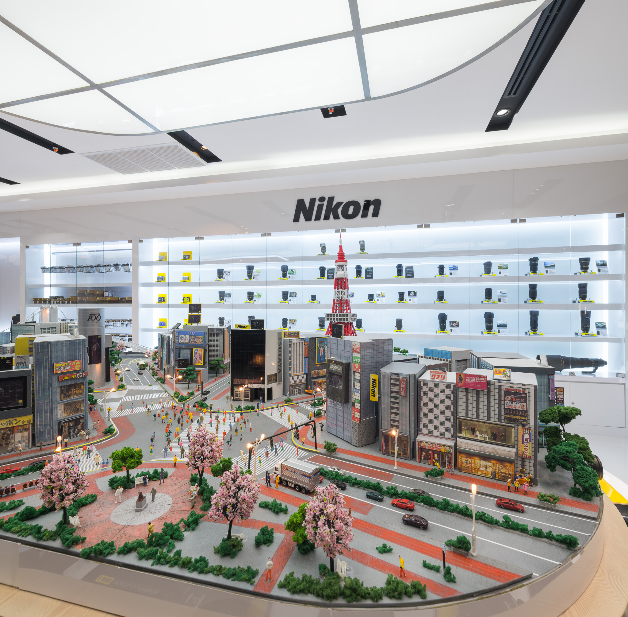 Nikon Experience Hub CTW