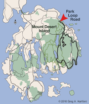 Park Loop Road-Acadia Dreamscape