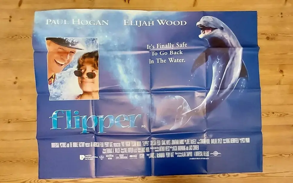 FLIPPER (1996)