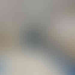 Drop Ceiling- Suspended Ceiling-Painting