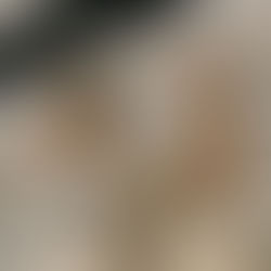 Best Commercial Drop Ceiling & Construction Company in 2025