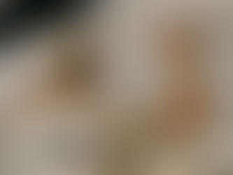 Best Commercial Drop Ceiling & Construction Company in 2025