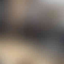 Custom Iron Railings and Decorative Iron Door Installation