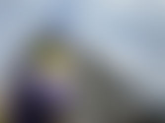 Commercial Remodeling in Motion