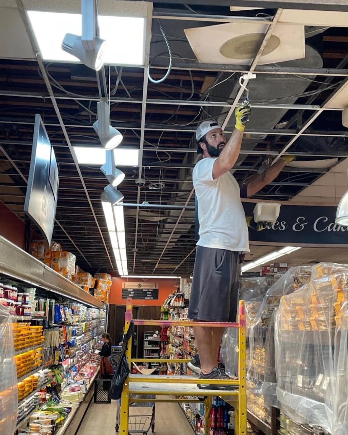 Suspended Ceilings