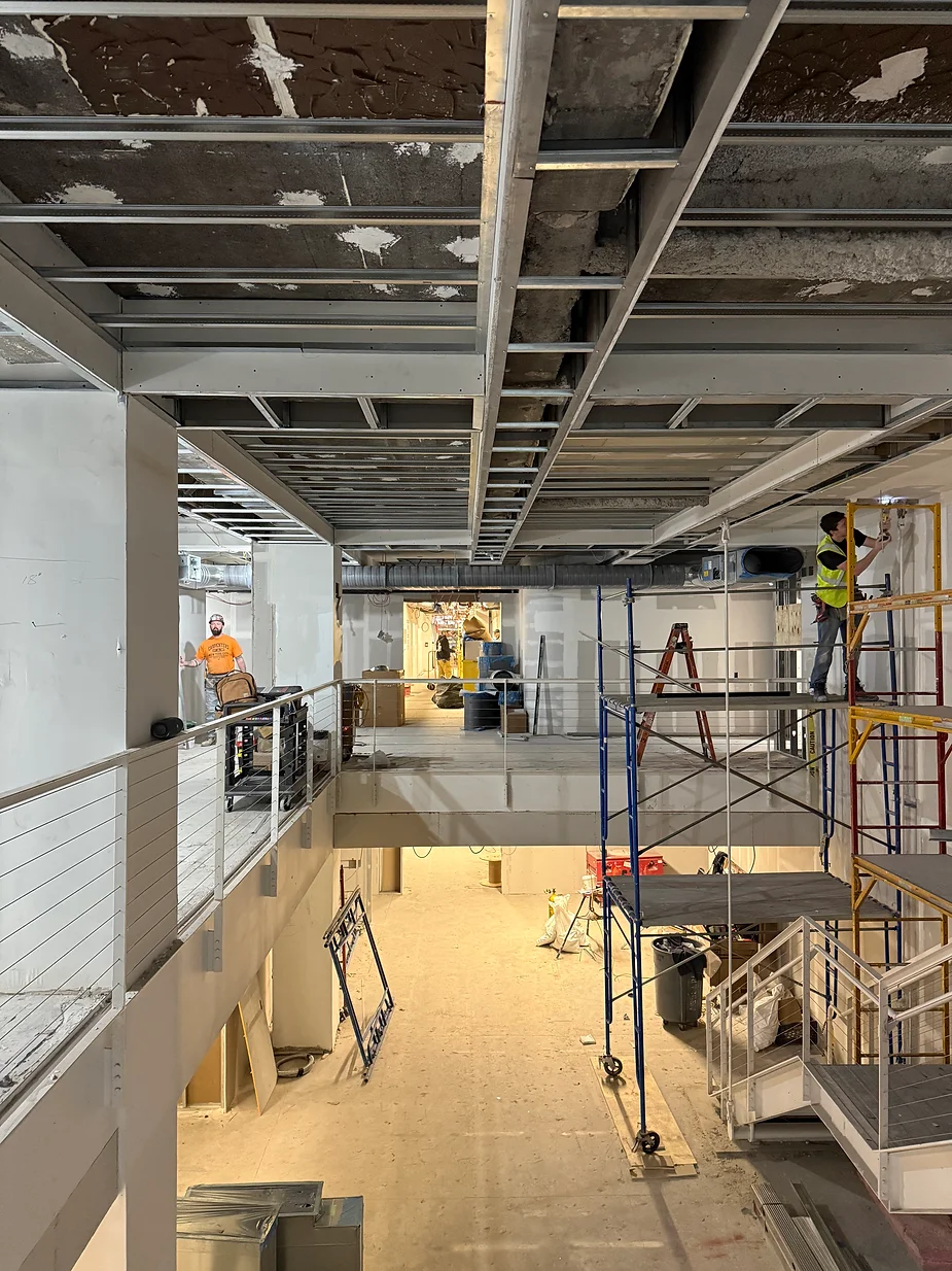 Suspended Ceilings, paint 