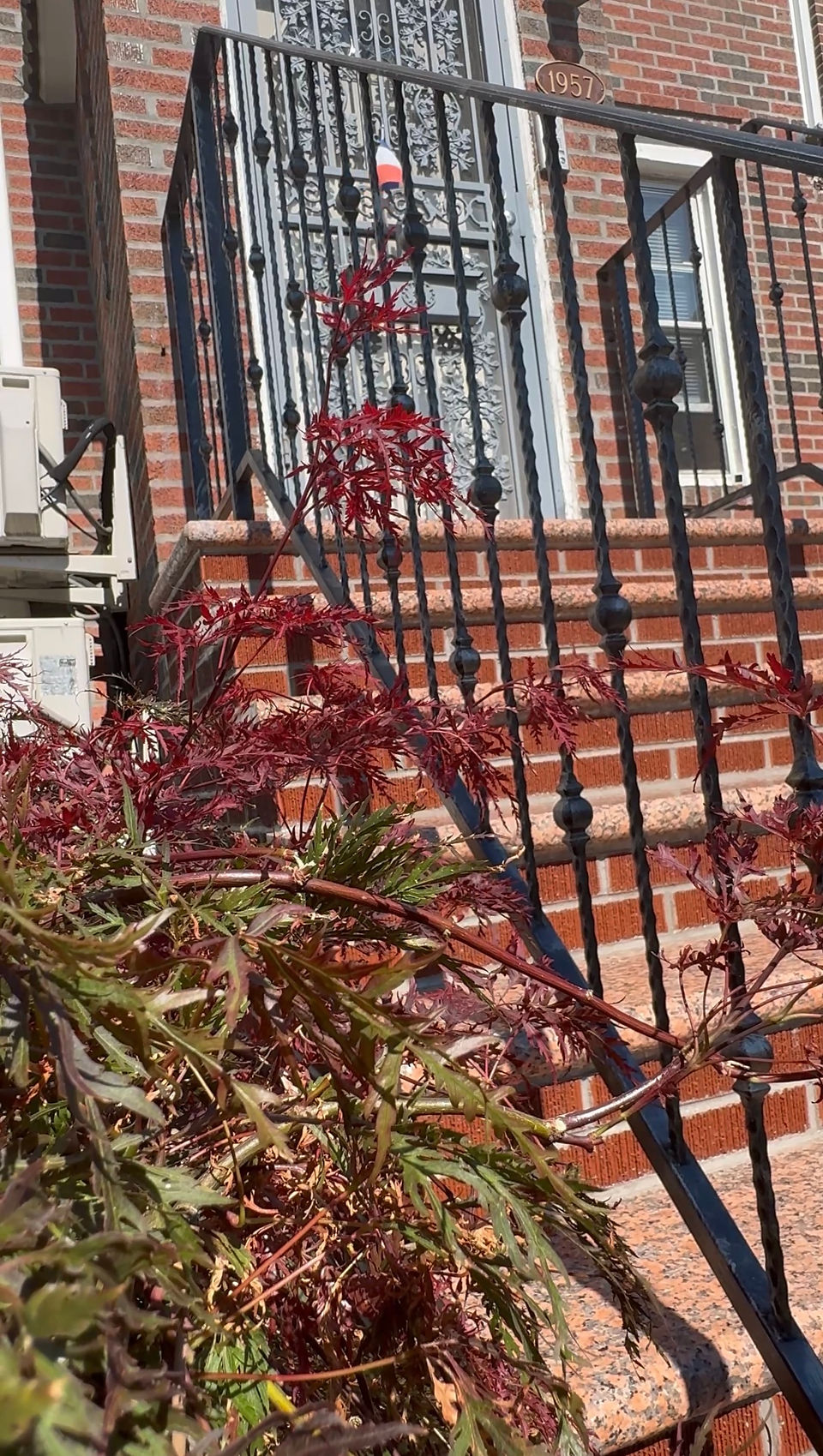 Custom Iron Railings