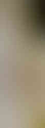 Drop Ceiling- Suspended Ceiling
