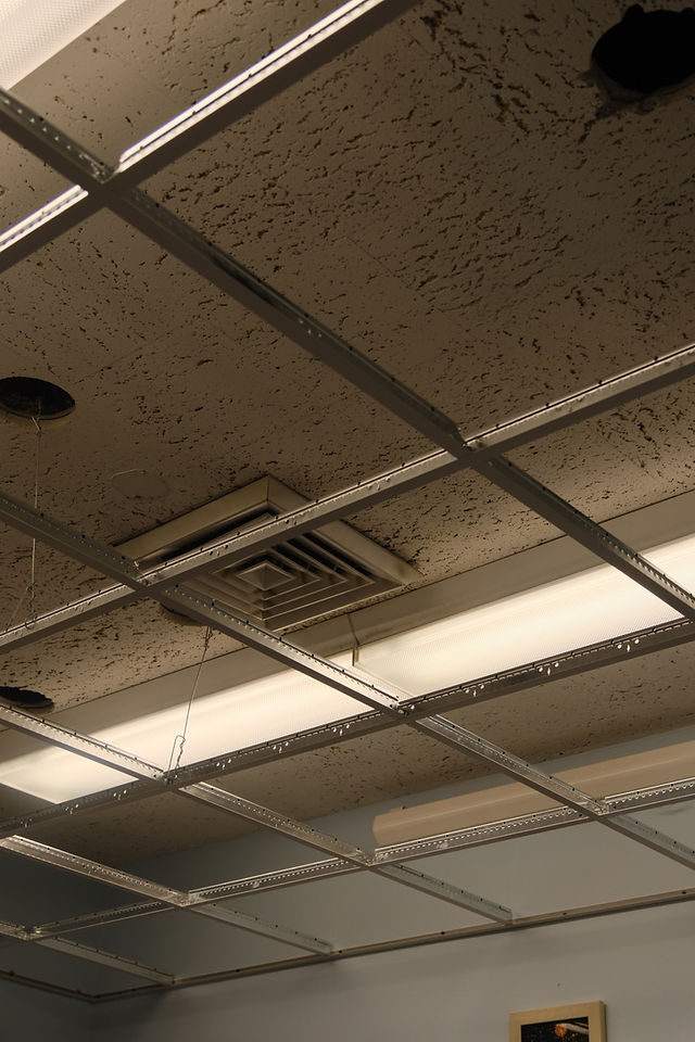Suspended Ceiling