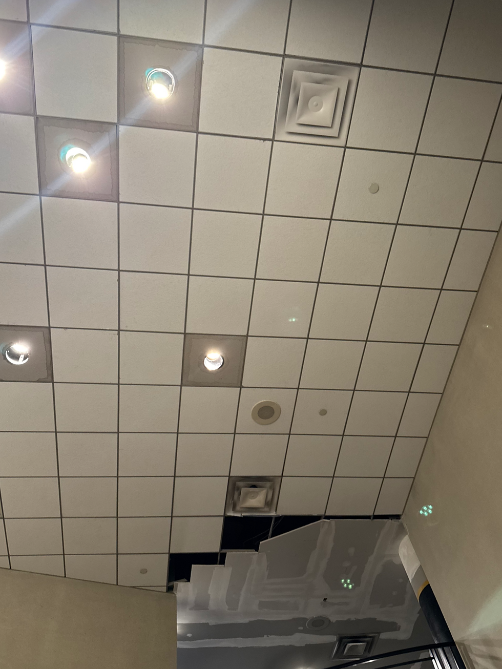 Ceiling and Wall Restoration