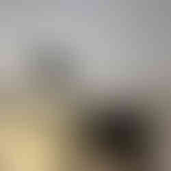 Suspended Ceiling Installation