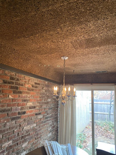 Drop ceiling cork