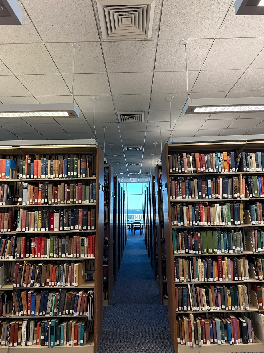 Suspended Ceilings